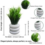 Decor Home Craft Potted Artificial Plant in Plastic Pot for Home Decor| Living Room | Indoor Shelf | Farmhouse Desk | Bathroom | Bedroom |Office Decoration
